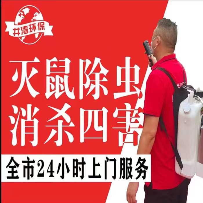 上海奉贤区除螨虫灭跳蚤公司 全屋灭蚊蝇灭虫除虫 井湾环保专业可靠
