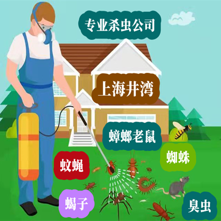 九亭镇灭白蚁防治中心（井湾环保）上海市专业灭鼠灭虫灭齿虫公司