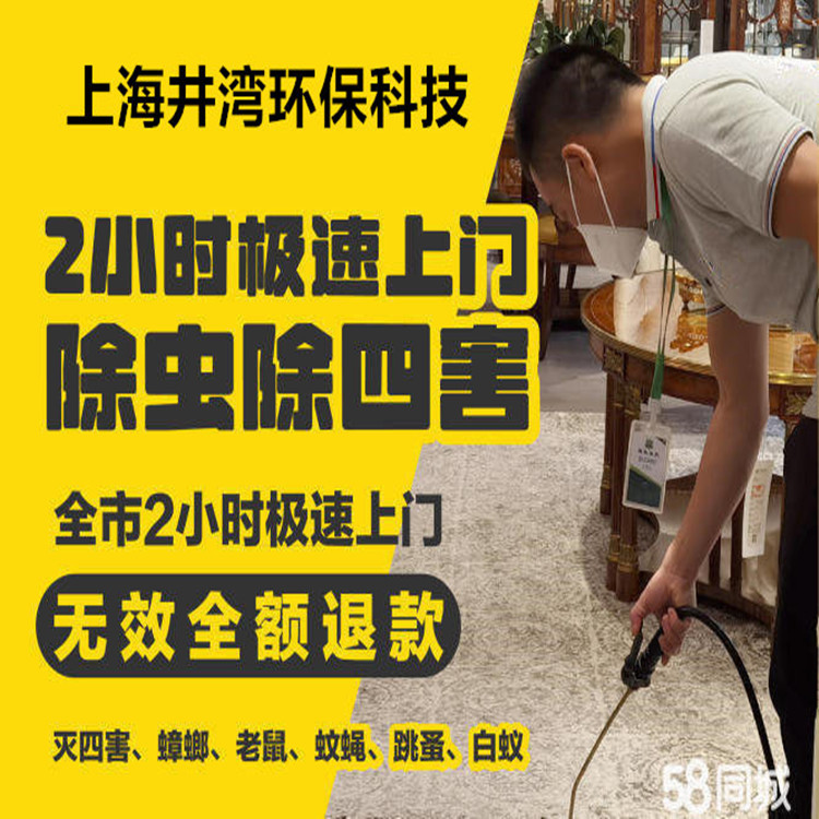 上海金山区 除四害公司 厨房酒店除虫灭虫灭蟑螂灭白蚁 一对一服务商
