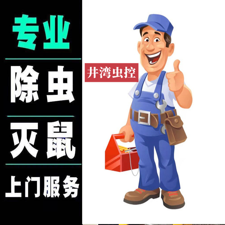 灭蚊蝇 灭老鼠 灭马蜂 除四害公司 服务有保障 专业服务