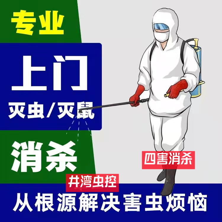 上海九亭镇除蟑螂除虫公司（井湾环保）专业灭四害灭老鼠电话号码