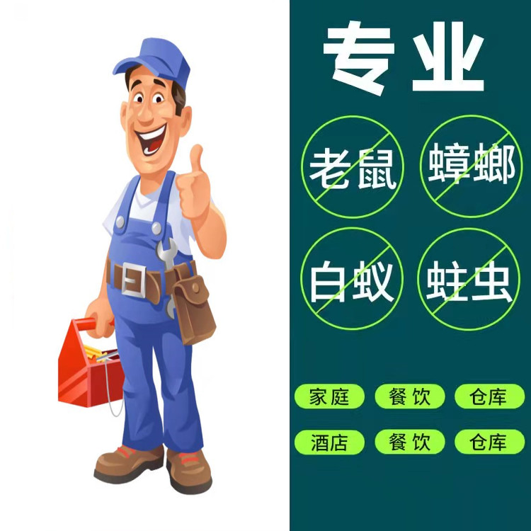 井湾除虫灭鼠 灭蟑螂 蚂蚁 果蝇 除四害快速上门
