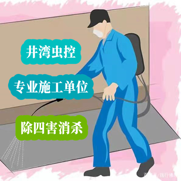 上海各地区专业上门除虫灭鼠 专业服务有保障