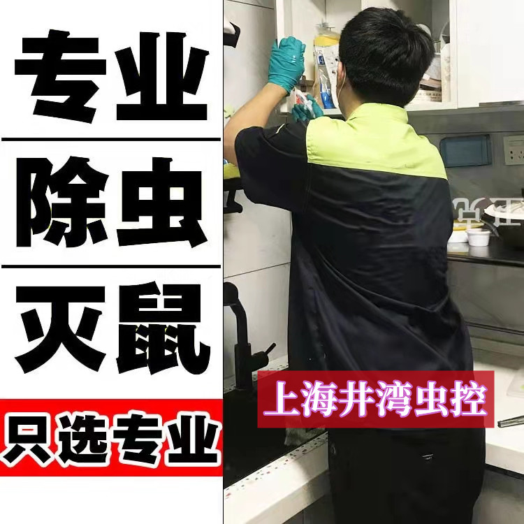 上海松江区专业除虫灭鼠公司（井湾环保）极速除四害消杀公司