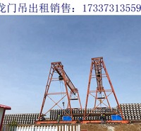 河北承德龙门吊厂家 龙门吊证件可获得