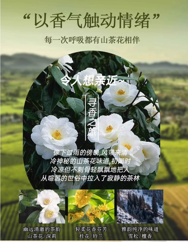 白茶身体乳贴牌代加工 护肤品生产厂家 山东恒康