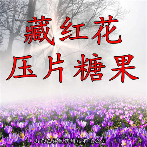 定制藏红花压片糖果贴牌 片剂来料代加工压片包衣压板泡罩双铝oem
