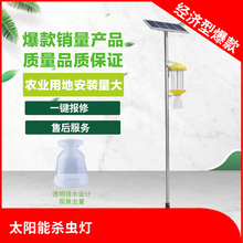 户外茶园果园菜园买杀虫灯找谁家好易安装规格齐全