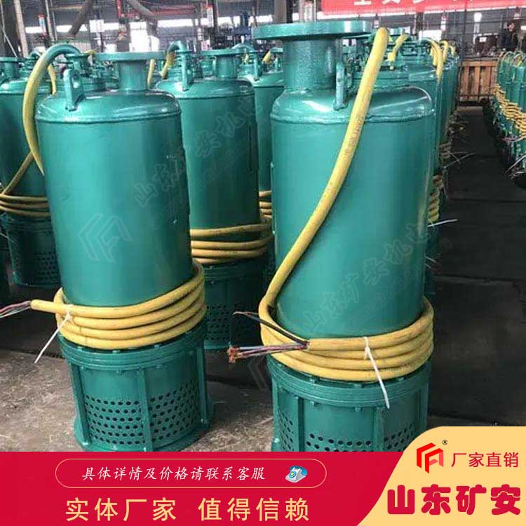 耐磨损 选型方便 BQS(W)220KW矿用潜水排沙电泵