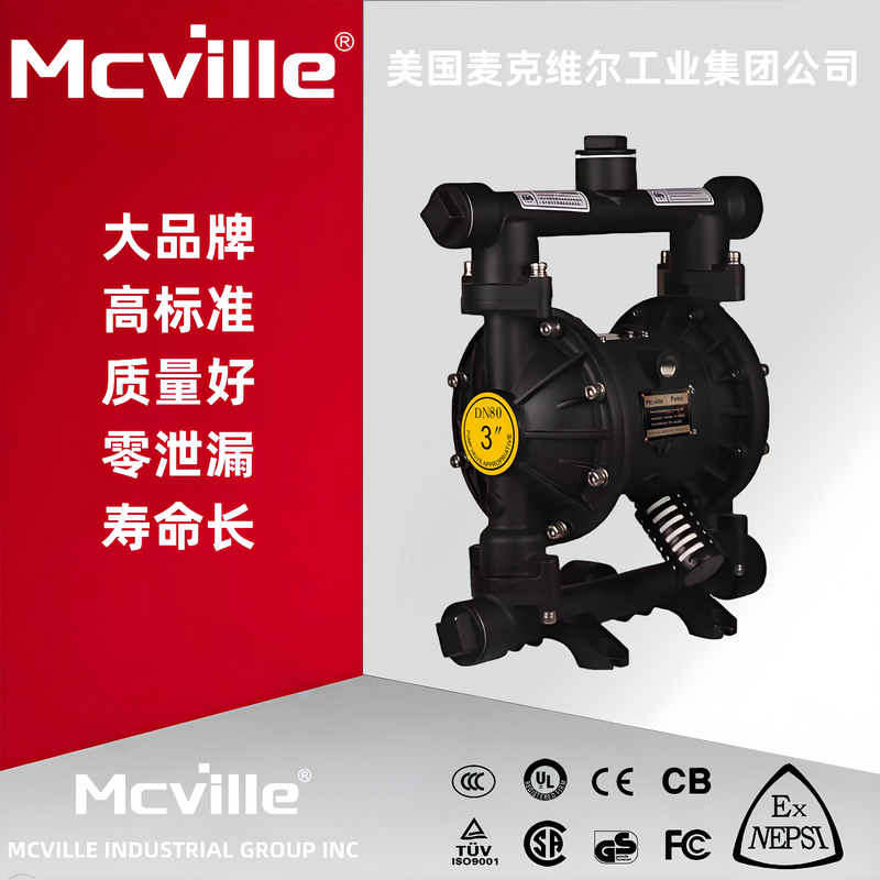 进口铸铁隔膜泵