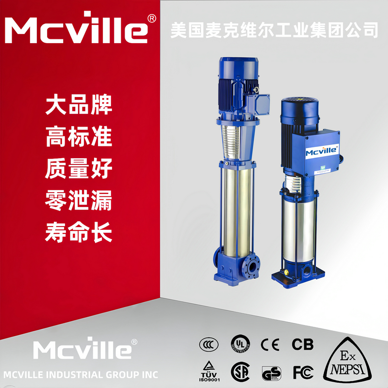 进口清水管道泵