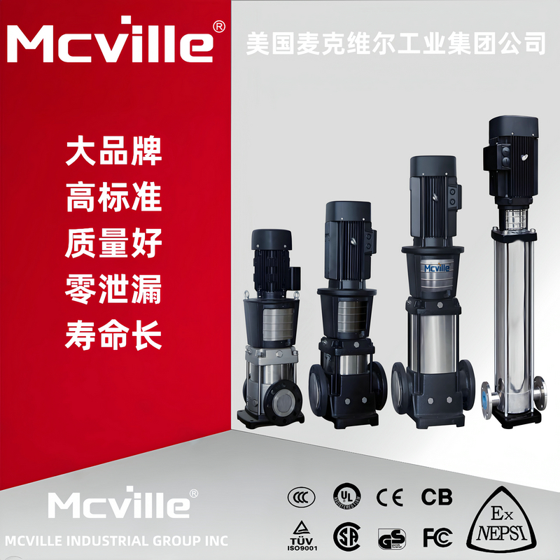 进口轻型多级泵