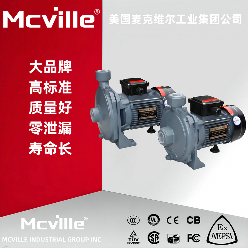 进口小型离心泵
