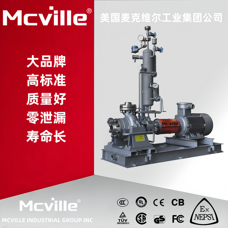 进口高温化工泵