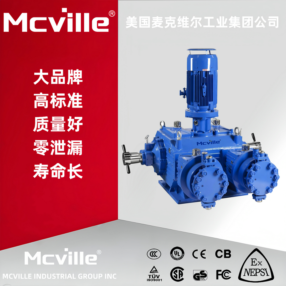 进口大流量计量泵