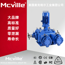 进口大流量计量泵