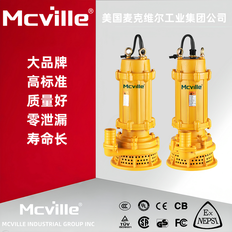 进口化工排污泵