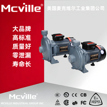 进口小型离心泵