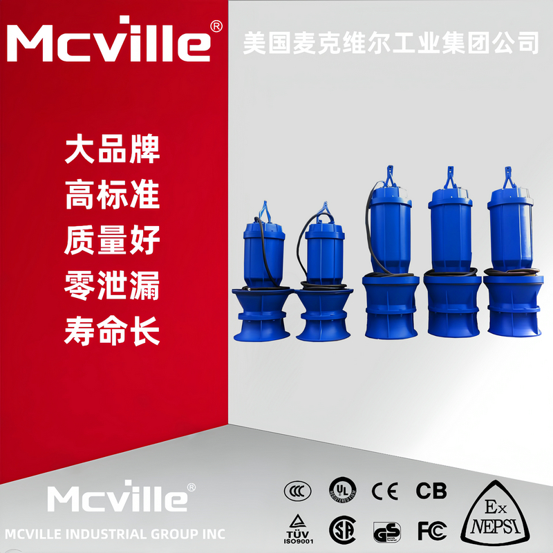 进口大型潜水泵