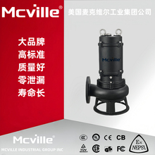 进口潜污泵