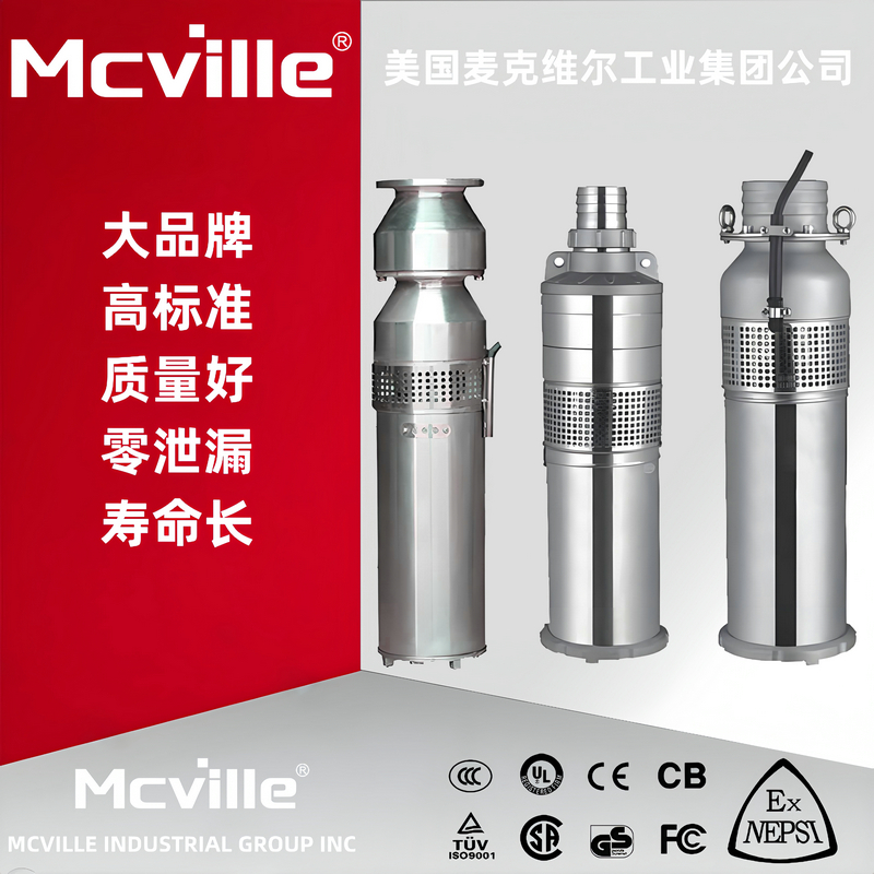 进口不锈钢喷泉泵
