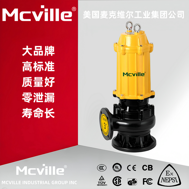 进口污水排污泵