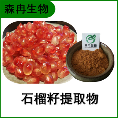 森冉生物 石榴籽提取物 石榴籽多酚 比例提取原料粉