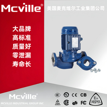 进口暖气循环泵