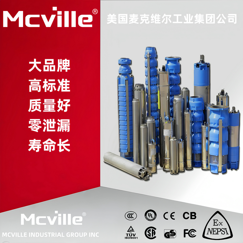 进口立式潜水泵