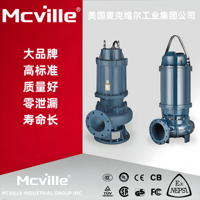 进口潜水污泥泵
