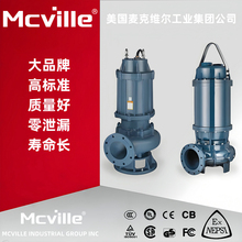 进口潜水污泥泵