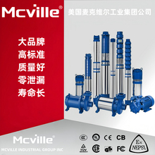 进口热水潜水泵
