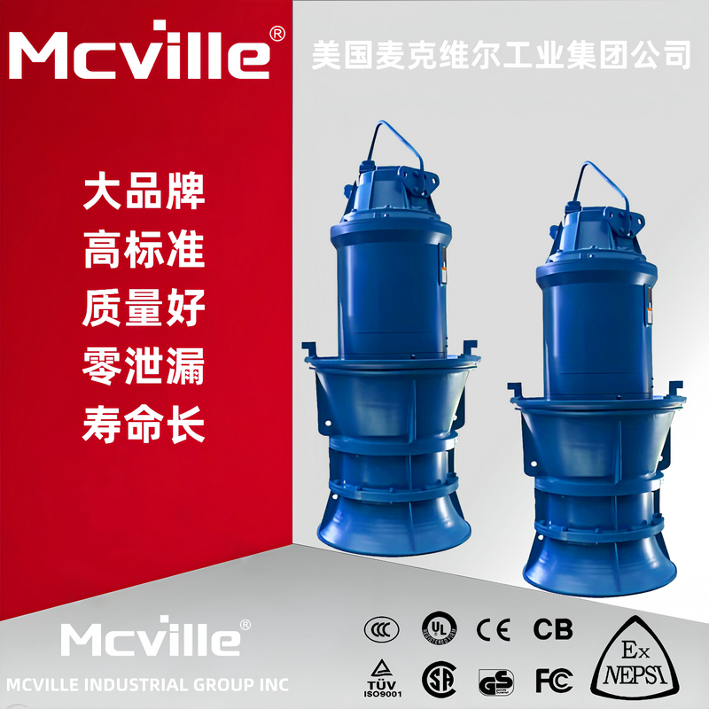 进口潜水轴流泵