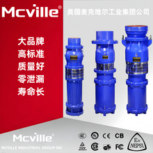 进口潜水排水泵