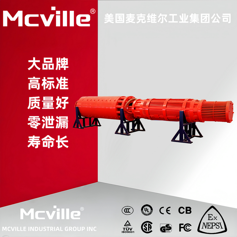 进口高扬程潜水泵