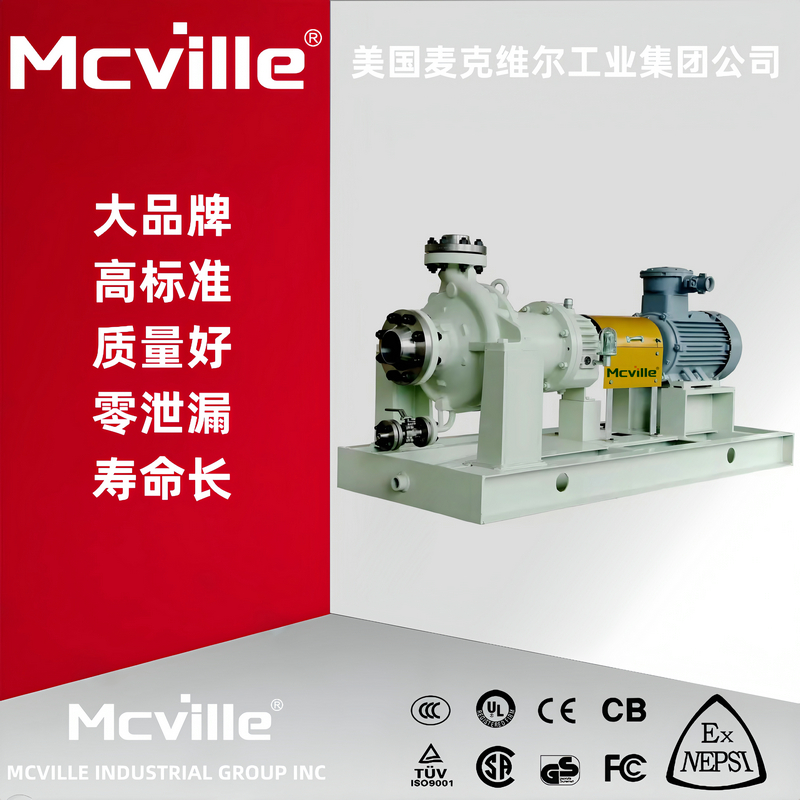 进口高温循环泵