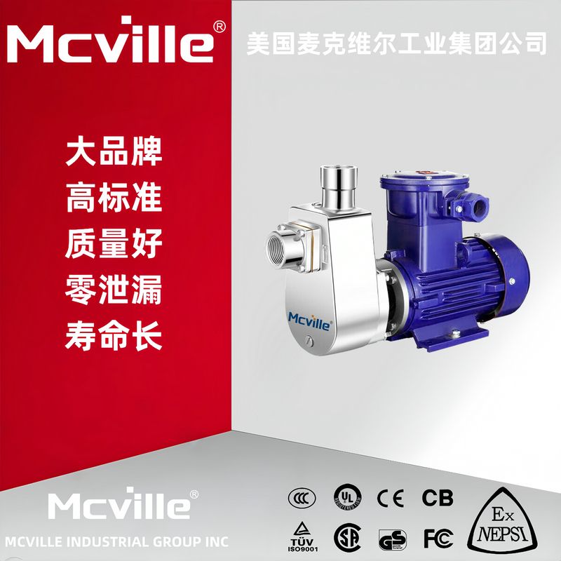 进口小型自吸泵