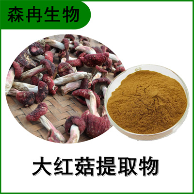 森冉生物 大红菇提取物大红菇多糖 植物提取原料粉