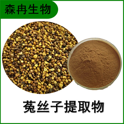 森冉生物 菟丝子提取物 菟丝实提取物 比例提取原料粉
