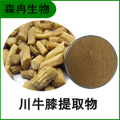 森冉生物 牛膝提取物 怀牛膝提取物 植物提取原料粉