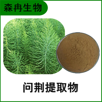 森冉生物 问荆提取物 节节草提取物 比例提取原料粉