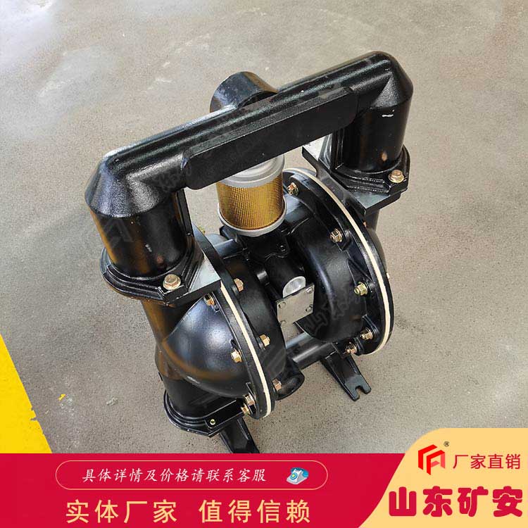 BQG250/0.3气动隔膜泵节能高效  过污能力强