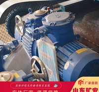矿<em>安</em>厂家带式给煤机驱动装置适配能力强