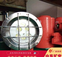 DGY3/48L矿用隔爆型信号灯机车往返运行时<em>照明</em>使用