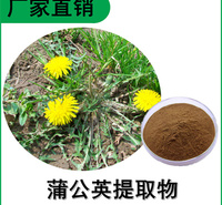 森冉生物 蒲公英提取物 黄花地丁提取物 比例提取原料粉