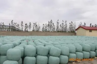 优质甜玉米秸秆青储饲料 牛、羊、马 植物性饲料 甘肃黄羊河集团武威食品供应