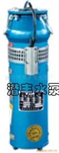 优质QSP喷泉专用泵 不锈钢水泵 轴流水泵 潜水泵 徐州市双丰龙水泵厂供应