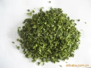 脱水青椒 甘肃张掖 甘肃九发 脱水蔬菜 甘肃张掖厂家供应