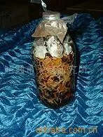 天麻种子萌发菌 三级种(生产种) 食用菌菌种 昭通市天麻研究所供应