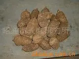 昭通乌天麻种 其他种子、种苗 昭通市天麻研究所供应